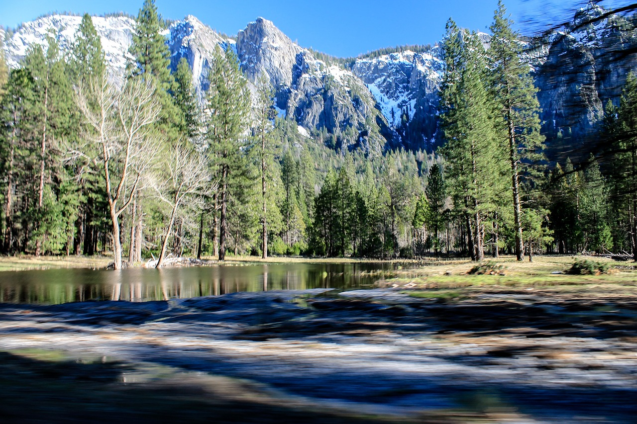 Your Ultimate Guide to Yosemite’s Campgrounds: Tips, Tricks, and Recommendations
